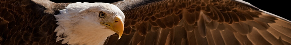 Seite wurde nicht gefunden